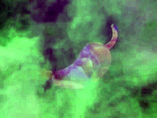 I bent over and gave my big ass as a birthday gift to francesco, his monster cock was amazing