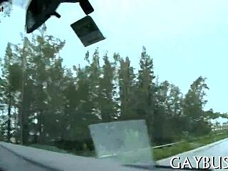 Free Homo Sex Pics Online