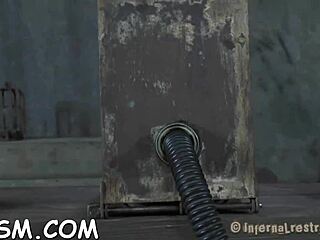 Xv-22d97aedacaffaaae2e5fb1dacd89d71