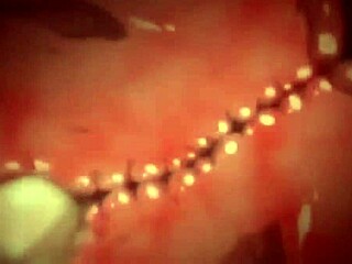 cursed hmv 6 cursedlegion