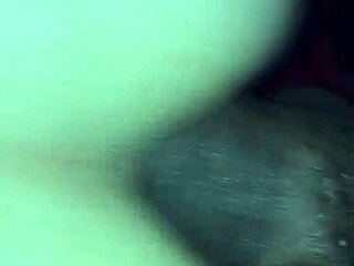 sweet kittens getting anal fucked by monster cock?