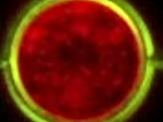 Rebecca用街头魅力在派对后诱惑