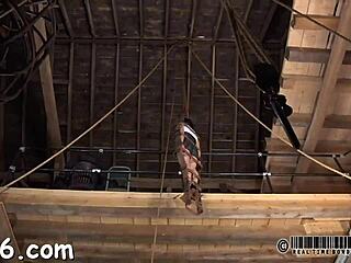 Lovely babe released from cage endures intense hardcore torment with rough fucking and bondage.