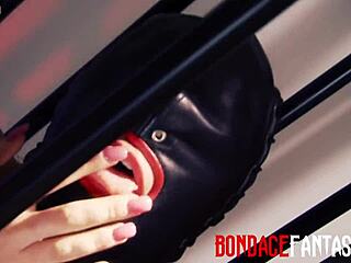 梅·贝利和克里斯塔尔·韦伯，那些穿高跟鞋和尼龙的性感荡妇，用舔屁股和手指操逼互相支配