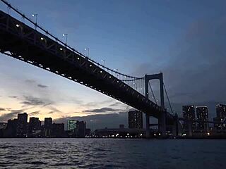 Full Version Available at Bitly Link