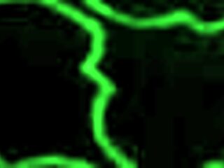 penelope reed teases with her fat pussy fingering herself