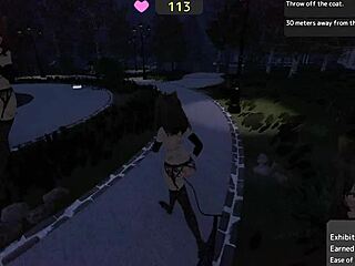 Seleka-San's Park Missions: Nude Flashing At Real Difficulty?