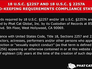 i train the plump beauty anri tachibana in a secret room