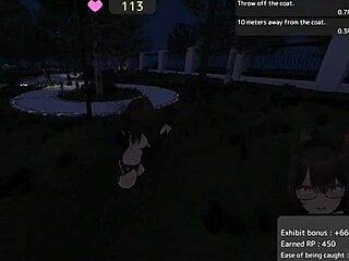 Seleka-San's Park Missions: Nude Flashing At Real Difficulty?