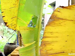 Hot Neighbor Likes Dick Fucking Her In Doggy