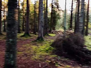 Teen couple explores deepthroat blowjob in outdoor wonderland