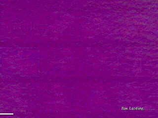 exploro galería sucesora de Kodoku en hentai anime