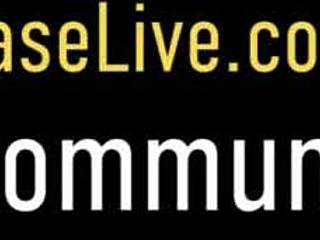 blonde milfs charlee chase and brooke tyler in double blowjob