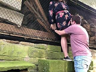 Tvrdo šukanie na opustenom dvore v otvorenom vidieckom vzduchu