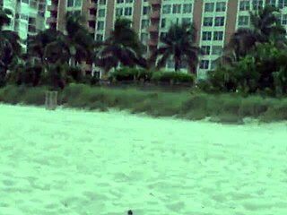 this sexy girlie has impressive fucking skills 😍