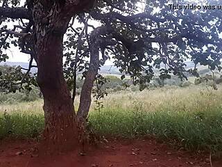 Enfiei a pica na loirinha no meio da estrada em publico assista completo no xvideos red