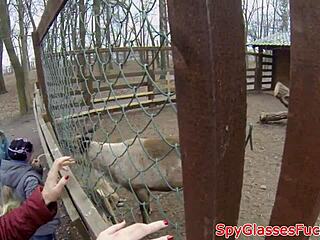 Amatoare europeană futută în cur POV – oare mai rezistă?