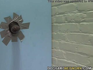 أميليا روز تحلب أكبر زب أسود في ثقب المجد