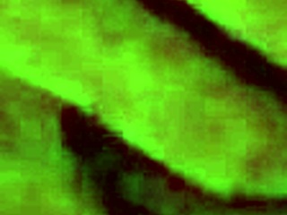 wanna wake up with a nice blowjob?