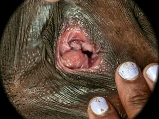 hairy pussy close up sex, what do you see?