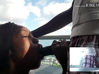 Hot black chick from caribbean enjoys a relaxing blowjob session