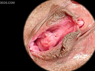 hairy pussy close up sex, what do you see?