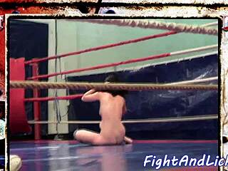 European babes engage in wrestling match in boxing ring