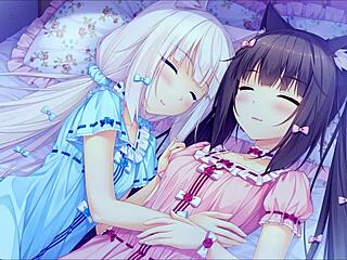 Nekopara Anime Hentai