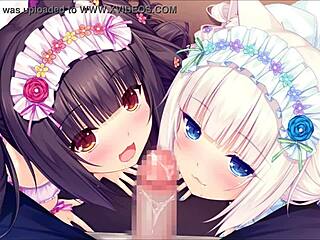 Nekopara Anime Hentai