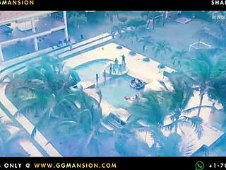 i watch beautiful girl suck brunette pussy hotly