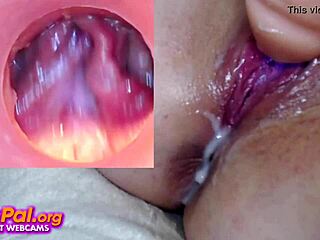 Crazy Creamy Action On Pussycam With Toys And Orgasms