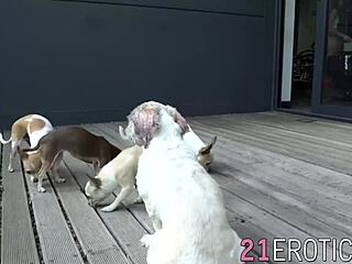 Akira May says, 'Eat me out before doggystyle pounding'