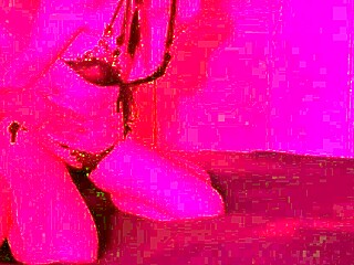 Lazycatdoll Delivers Top Service In Tight Jeans