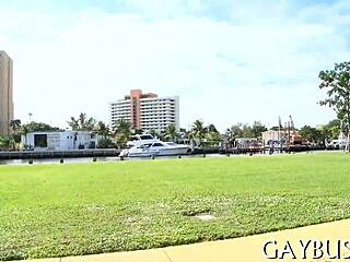 homosexual sex vids free