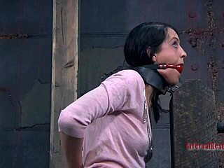 Marvelous tied up babe gets whipped on her body. Lusty strikes drive her wild with desire.