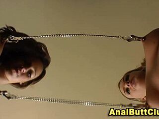 Sexy Fetish Sluts With Gaping Asses Bound