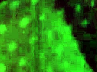 Damn, obedient sub suffers and cums under dominatrix Marsha Love's hand - Venusss rules!