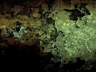 vintage drawings of erotic scenes