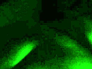 Enjoying chocolate backshots with MILF's big ass