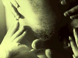 Dark Lantern Entertainment Presents VINTAGE TABOO FAMILY FANTASY