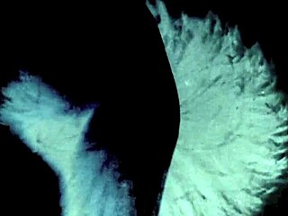 Dark Lantern Entertainment Presents VINTAGE TABOO FAMILY FANTASY