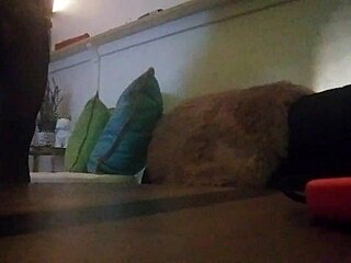 Latino shemale with big monster cock