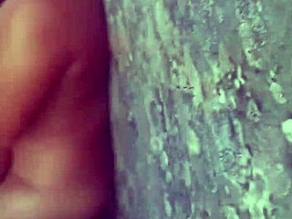 Bareback Orgy in SC with Unknown Bathers Going Hard Without Condoms in Public Action