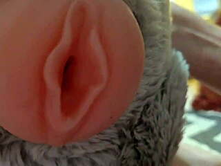 Why Would Anyone Bang a Teddy Bear Like This?