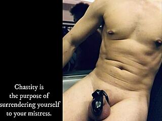 your penis is wife's property now?