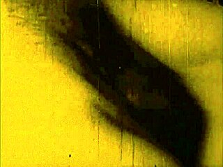 vintage erotic drawings tell a timeless story.