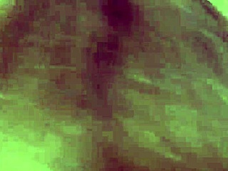 carmen electra licks fan's balls in wild hardcore scene