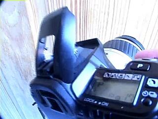 Pregnant and Barefoot in Hardcore Interracial Action?