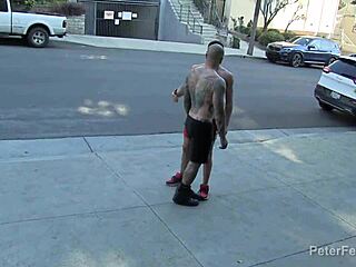 Damian x dragon has a hot casual encounters fuck with cesar xes