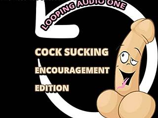 i can't stop sucking cock and loving every second of it